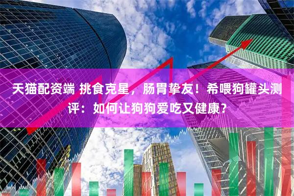 天猫配资端 挑食克星，肠胃挚友！希喂狗罐头测评：如何让狗狗爱吃又健康？