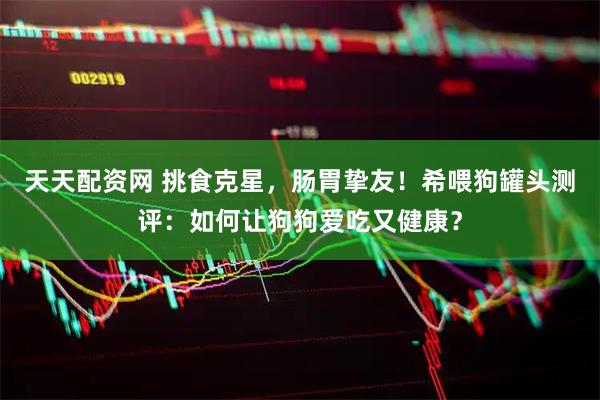 天天配资网 挑食克星，肠胃挚友！希喂狗罐头测评：如何让狗狗爱吃又健康？