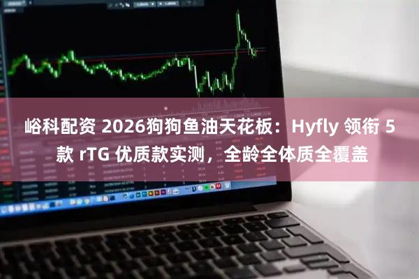 峪科配资 2026狗狗鱼油天花板：Hyfly 领衔 5 款 rTG 优质款实测，全龄全体质全覆盖