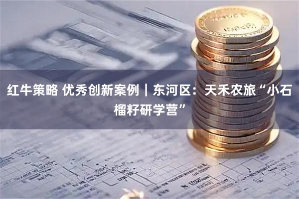 红牛策略 优秀创新案例｜东河区：天禾农旅“小石榴籽研学营”