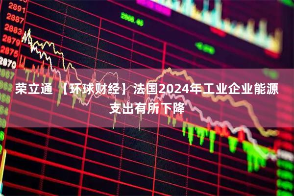 荣立通 【环球财经】法国2024年工业企业能源支出有所下降